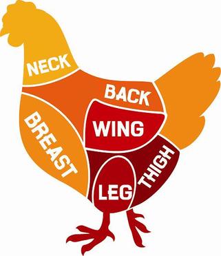 Chicken silhouette showing cutting parts for meat